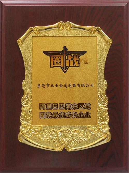 阿里巴巴莞東區(qū)域團(tuán)戰(zhàn)成長企業(yè)